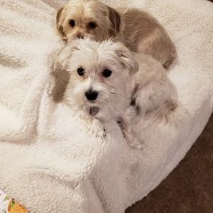 Meet your Posher, Louana